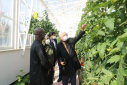 The Ambassador of the Republic of Ghana Visited Different Part of ICT Park