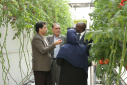 Salion Niang Deing demanded the presence of ICT Park in the Joint Commission of Cooperation between the two countries