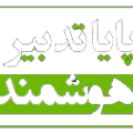 شرکت پایا تدبیر هوشمند