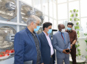 سفیر جمهوری فدرال نیجریه از پارک فاوا بازدید کرد