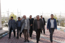 دکتر صدیق: ایجاد گلخانه پارک زنجان برای ۳۲۰ نفر شغل ایجاد می‌کند