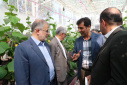 استاندار البرز: کارگروه تخصصی احصا و رسیدگی به موضوعات دانش‌بنیان‌ها در البرز تشکیل می‌شود