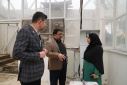 گلخانه‌های هوشمند پارک فاوا با هدف ارتقای بهره‌وری به‌روزرسانی شد