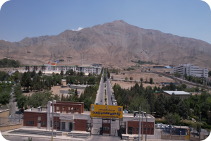 نشست هماندیشی پارک فاوا با شرکتهای فناور در آغاز سال ۱۴۰۵ برگزار شد