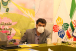 انصاری: وظیفه وزارتخانه شکوفایی ظرفیتهای موجود در پارک فاوا است