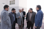 دکتر صدیق: ایجاد گلخانه پارک زنجان برای ۳۲۰ نفر شغل ایجاد می‌کند