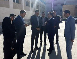 بر همکاری در تربیت نیروی ماهر اقتصاد دیجیتال تأکید شد